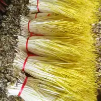 赛卡伊 山东蒜黄新鲜批发价时令青菜蔬菜大全韭黄蒜苗大蒜幼苗农家菜现割