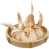 赛卡伊 蓝茨菰新鲜现挖大号茨菇荸荠新鲜蔬菜马蹄茨菇慈菇批发 精选大果净重*3斤