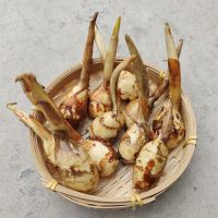 赛卡伊 新鲜茨菇农家慈姑白茨菇慈菇慈姑茨菰马蹄白菇慈姑一份 硬币大小茨菇5斤装