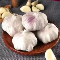 赛卡伊 新干蒜大蒜头批发紫皮大蒜干大蒜