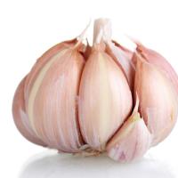 赛卡伊 精选农家大蒜头蒜种批发大蒜批发价2斤