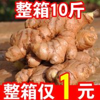 赛卡伊 小黄姜生姜嫩姜批发鲜嫩姜新鲜姜嫩生姜仔姜批发老姜沙姜蔬菜3斤