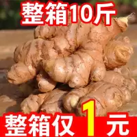 赛卡伊 小黄姜生姜嫩姜批发鲜嫩姜新鲜姜嫩生姜仔姜批发老姜沙姜蔬菜3斤