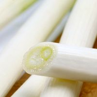 赛卡伊 大葱批发铁杆大葱新鲜绿葱香葱农家自种3斤