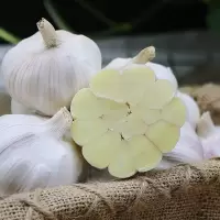 赛卡伊 大蒜头干蒜大蒜批发价10斤蒜头新蒜白紫皮大蒜蔬菜