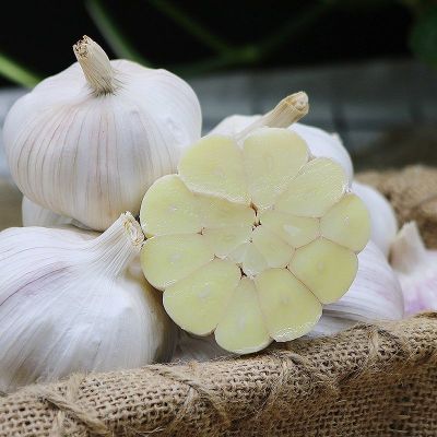 赛卡伊 大蒜头干蒜大蒜批发价10斤蒜头新蒜白紫皮大蒜蔬菜