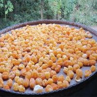 赛卡伊 土家特产干洋芋果果干土豆果干马玲薯果土豆干500克