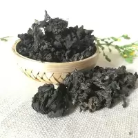 赛卡伊 地皮菜非地达菜新鲜纯净地衣地软地耳100g