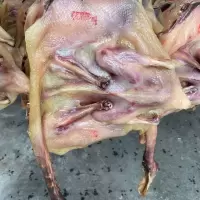 赛卡伊 按只卖正宗南安镇板鸭风干鸭肉干货腊鸭子年货每只1.5斤以上