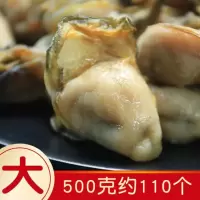赛卡伊 生蚝干牡蛎干生蚝鼓海蛎子海产干货生蚝肉