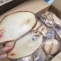 赛卡伊 阳江特产响螺片深海大螺片海螺干煲汤好材料250g