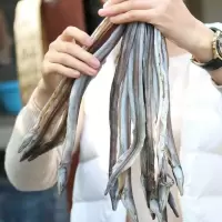 赛卡伊 小鳗鱼干海鱼小海鳗鱼250g小鱼干自晒咸鱼干海鲜干货