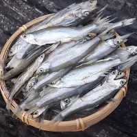 赛卡伊 农家特产咸鱼干刁子鱼参条子淡水河鱼干小干鱼250/500克装 一斤河鱼干(6-10厘米左右)