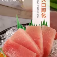 赛卡伊 金枪鱼新鲜刺身海鲜整条大目中段日料生鱼片寿司鲔鱼冷冻黄鳍蓝旗 (试吃装)约350-400克
