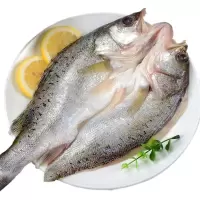 赛卡伊 新鲜开背鲈鱼七星海鲈鱼免杀烤鱼纸包鱼食材鲈鱼海鲜水产海鱼批发 1条[尝鲜装]