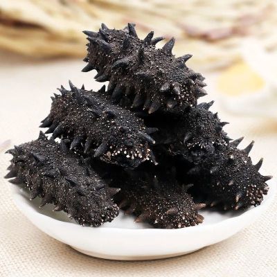 赛卡伊 [淡干海参]海参干货纯辽参刺参非即食海参批发礼盒装