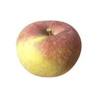 赛卡伊 东北小国光苹果酸甜脆新鲜苹果 水果正宗老式国光2斤国光5斤10斤