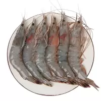 赛卡伊 新鲜大虾鲜活超大基围虾青虾大虾海鲜冷冻大海虾大虾海鲜批发 17-19厘米[个大肉肥 特大大虾] 4斤装[鲜活