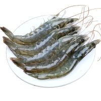 赛卡伊 虾一箱大虾水产海鲜鲜活基围虾冷冻海青虾白虾超大 12-13cm 盐冻大虾整箱