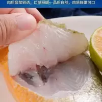 赛卡伊 [海捕]青岛纯小黄花鱼新鲜冷冻非养殖海鲜水产整箱批发 5斤中大号 新店开业
