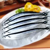 赛卡伊 秋刀鱼鲜冷冻 新鲜海鲜鱼鲜活深海鱼日式烧烤食材 精先美味秋刀鱼/五斤(净重无冰)