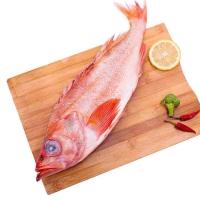 赛卡伊 红石斑鱼整条冰鲜鲜冻大龙胆鱼富贵鱼深海鱼速冻鲜活海鲜水产 八斤装