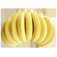 赛卡伊 云南香蕉整箱当季水果新鲜10斤自然熟十斤不是红皮海南小米蕉 带箱10斤装