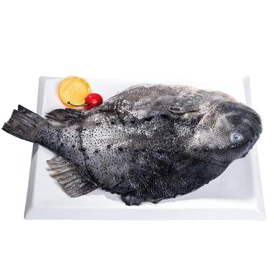赛卡伊 海参斑鱼去脏新鲜冷冻冰岛石斑鱼海鲜水产深海鱼 4斤以上去内脏