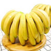 赛卡伊 云南香蕉整箱 自然熟当季水果新鲜十斤非广西小米蕉 掌柜力荐:超市级好品质带箱10斤