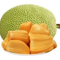 赛卡伊 海南菠萝蜜四季新鲜水果黄肉干苞木菠萝当季热带绿色果蔬批发