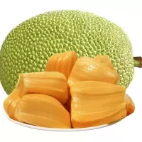 赛卡伊 菠萝蜜四季新鲜水果黄肉干苞木菠萝当季热带绿色果蔬批发