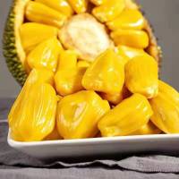 赛卡伊 现摘当季菠萝蜜一整个新鲜批发菠萝蜜果肉2-40斤假榴莲