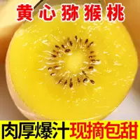 赛卡伊 黄心猕猴桃黄色黄金水果奇异果弥核桃非红心绿心单果60-150g