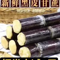赛卡伊 现砍黑皮甘蔗水果当季特产脆甜杆果蔗整箱新鲜