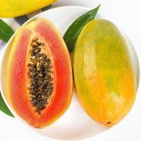 赛卡伊 [爆甜]红心木瓜牛奶树上熟当季新鲜水果整箱批发雷州10斤