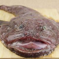 赛卡伊 鱼新鲜海鲜鲜活冷冻海鱼鮟鱇鱼老头鱼丑鱼灯笼鱼水产一箱 7斤