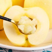 赛卡伊 [粉面软糯]黄元帅苹果刮泥奶油婴儿辅食新鲜水果3/5/9斤黄金帅