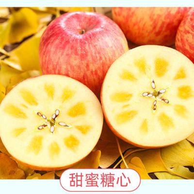 赛卡伊 新疆苹果水果 冰糖心苹果正宗新鲜丑苹果糖心苹果批发3/5/10斤