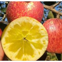 赛卡伊[冰糖心苹果]丑苹果当季新鲜红富士苹果水果整箱