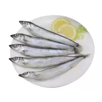 赛卡伊 多春鱼新鲜条条无冰鲜活冷冻深海鱼烧烤食材烤鱼精选批发 [无冰]1斤尝鲜装
