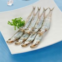 赛卡伊 多春鱼新鲜条条无冰鲜活冷冻深海鱼烧烤食材烤鱼精选批发 [无冰]5斤实惠装