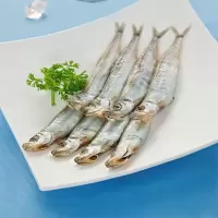 赛卡伊 多春鱼新鲜条条无冰鲜活冷冻深海鱼烧烤食材烤鱼精选批发 [无冰]5斤实惠装