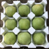 赛卡伊 正宗青苹果当季新鲜水果现摘现发脆甜多汁整箱净重5斤9斤