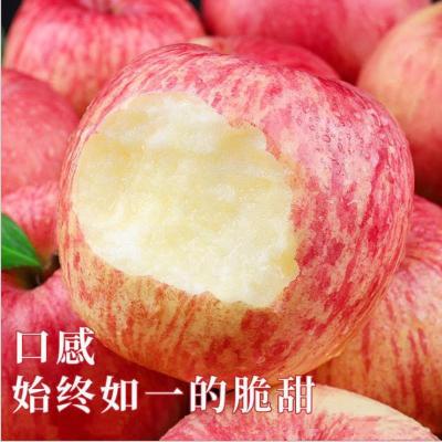 赛卡伊 现摘陕西红富士苹果水果应季新鲜脆甜冰糖心丑苹果1-10斤整箱批发