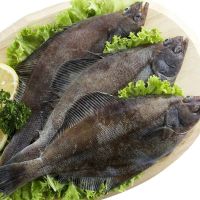 赛卡伊 深海鲽鱼整条比目鱼特大碟鱼偏口鱼鱼多宝鱼新鲜 600-800g/条 1条装