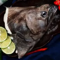 赛卡伊 鲽鱼头深海鲽鱼特大鱼头无冰衣碟头鱼比目鱼鱼头海鲜水产整箱批发 1.5斤/只[买1送1 发2只]