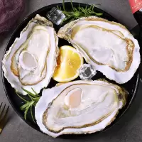 赛卡伊 [鲜活到家]特大生蚝顺丰鲜活5/10斤特大海蛎子新鲜牡蛎 买3斤送2斤 5斤装[送三件套