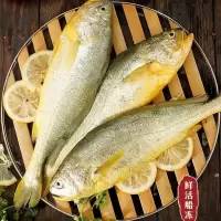 赛卡伊 大黄花鱼鲜活冷冻大黄鱼海鲜水产批发鱼黄鱼 大黄花鱼(3条装) 9两-1斤/条大黄花鱼