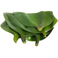 赛卡伊 荣成盐渍海带头海带根丝片厚新鲜半干货 5斤