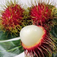 赛卡伊 顺丰 泰国进口红毛丹5斤毛荔枝新鲜毛丹稀有热带水果毛丹果